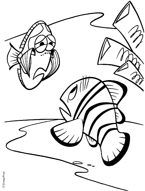 coloriage nemo marin et dory